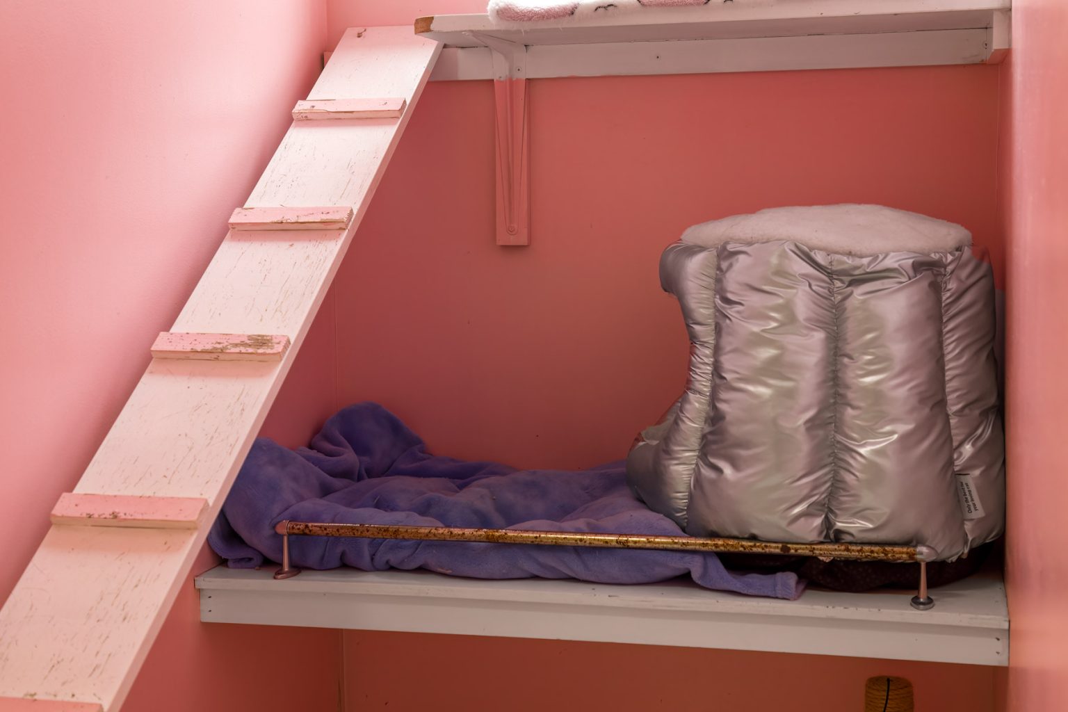 Indoor/Outdoor Suite Simply Purrfect